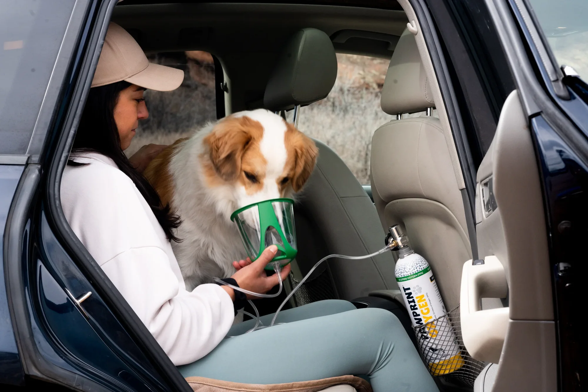 Breathe Easy, Protect Your Pet